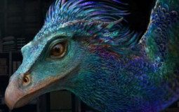 Les animaux harry potter